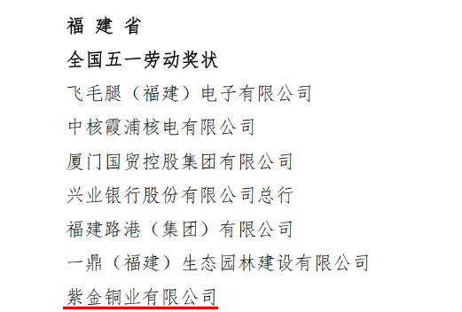 集團(tuán)多個(gè)集體和個(gè)人獲全國(guó)總工會(huì)表彰